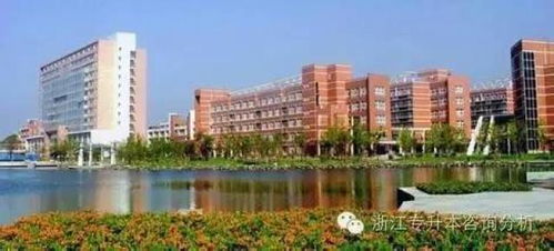 浙江科技学院 2017专升本分学校分专业分数线全解析