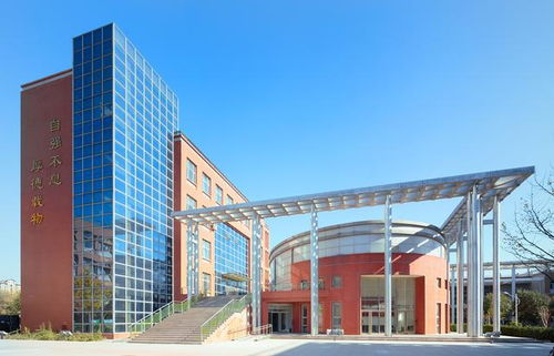 中国大学排名新变局 中科大崛起，四非院校崭露头角