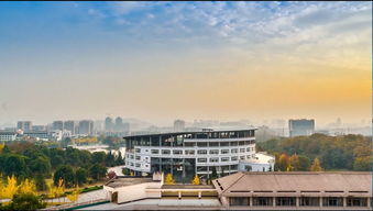 5500张照片里的四季回眸 浙江科技学院延时摄影献礼毕业季