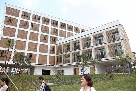 从本科宿舍到新起点 浙江专升本学子的科技学院之旅
