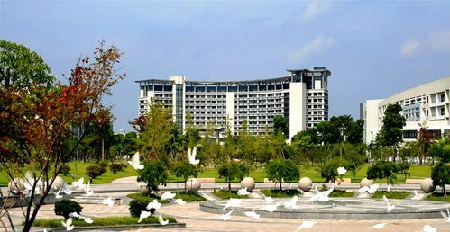 浙大一院长出任这所省重点大学校长 浙江科技学院迎来新任掌舵人